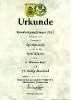 Kreissieger SpoPi 2011_1