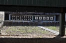 Staende Falke Dasbach_7