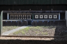 Staende Falke Dasbach_8